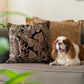 Avira Neutral Cushion Cover