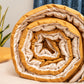 Desert Caramel & Champagne Sand Comforter