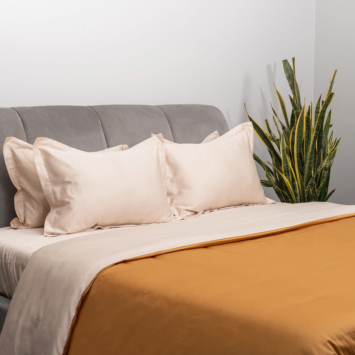 Desert Camel and Champagne Duvet Covers