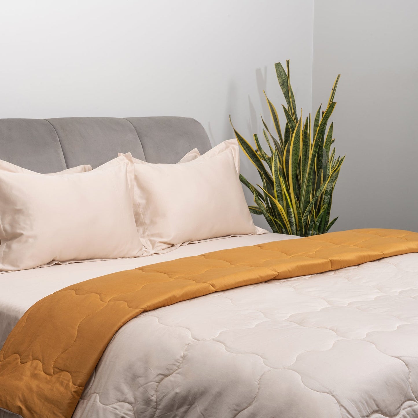 Desert Caramel & Champagne Sand Comforter