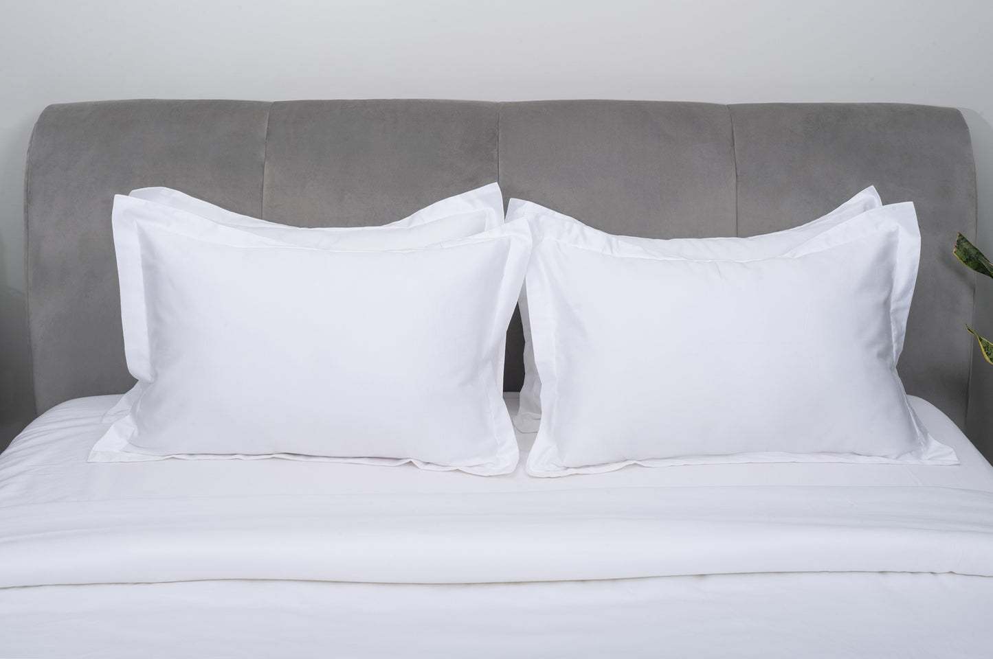 Brilliant White Bedsheet