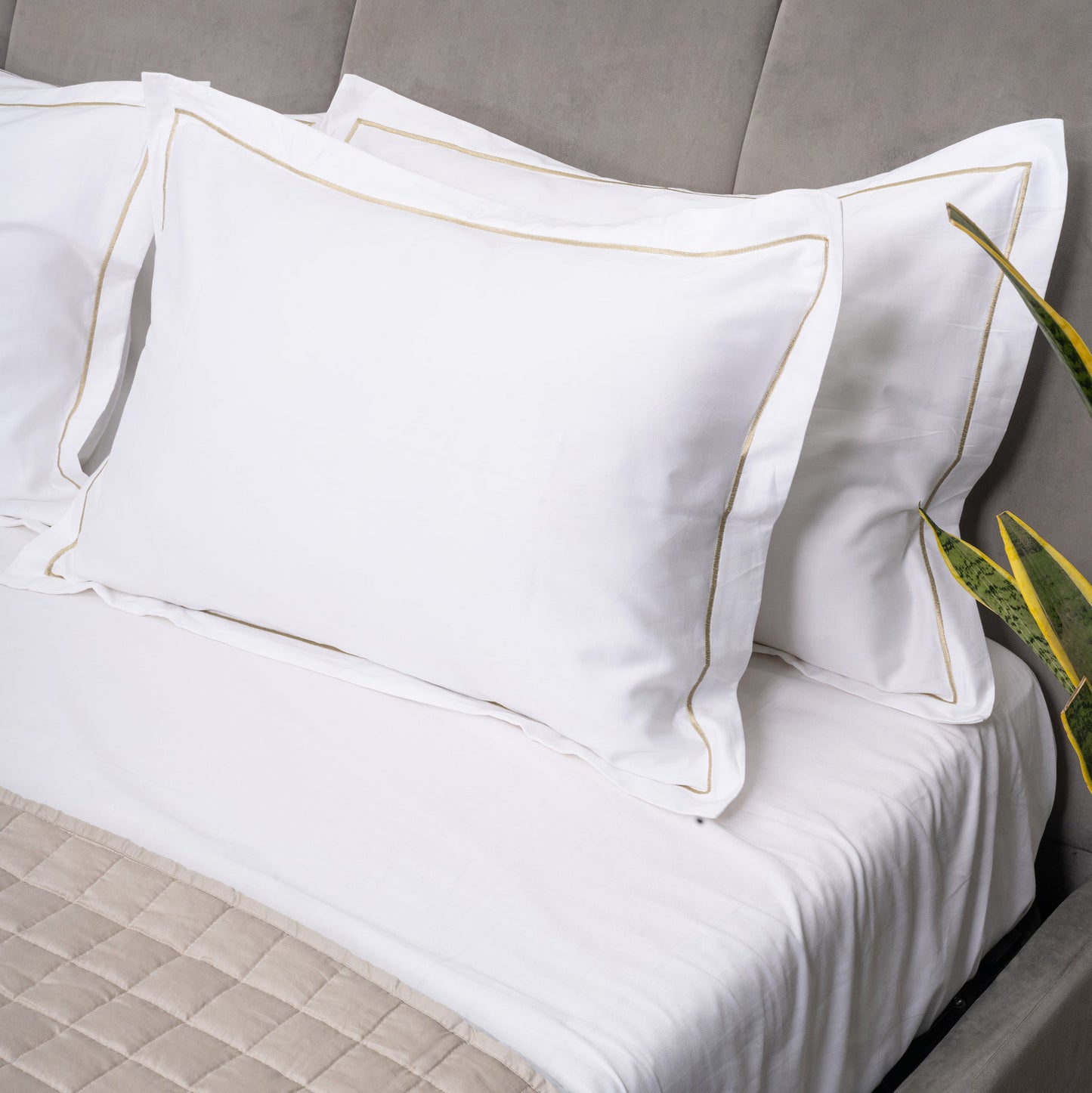 Brilliant White with Coffee Embroidered Bedsheet