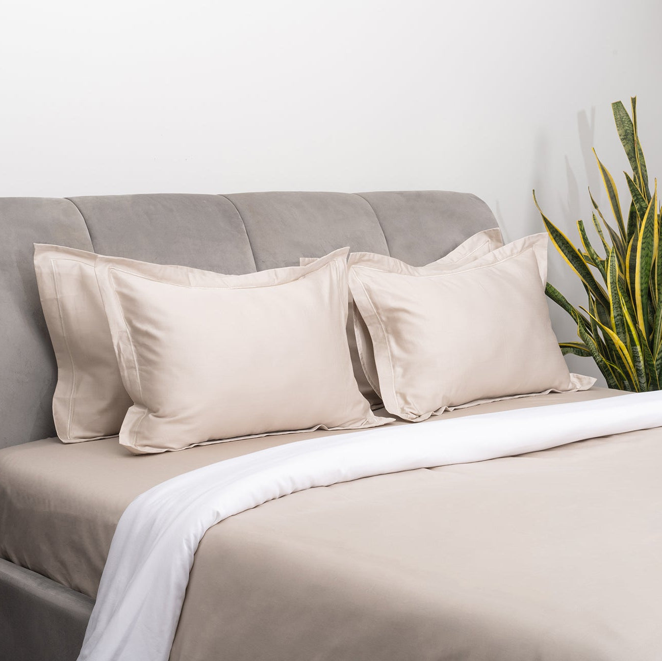 Taupe and Ivory Duvet Covers