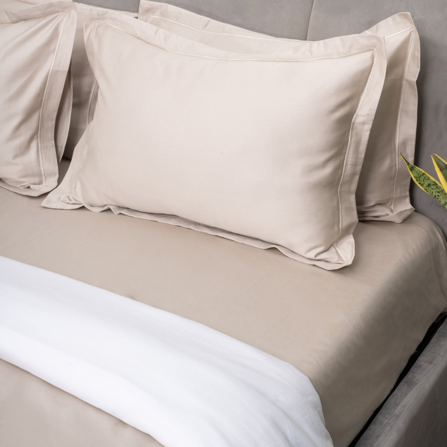 Irish Coffee and Brilliant White Duvet Covers
