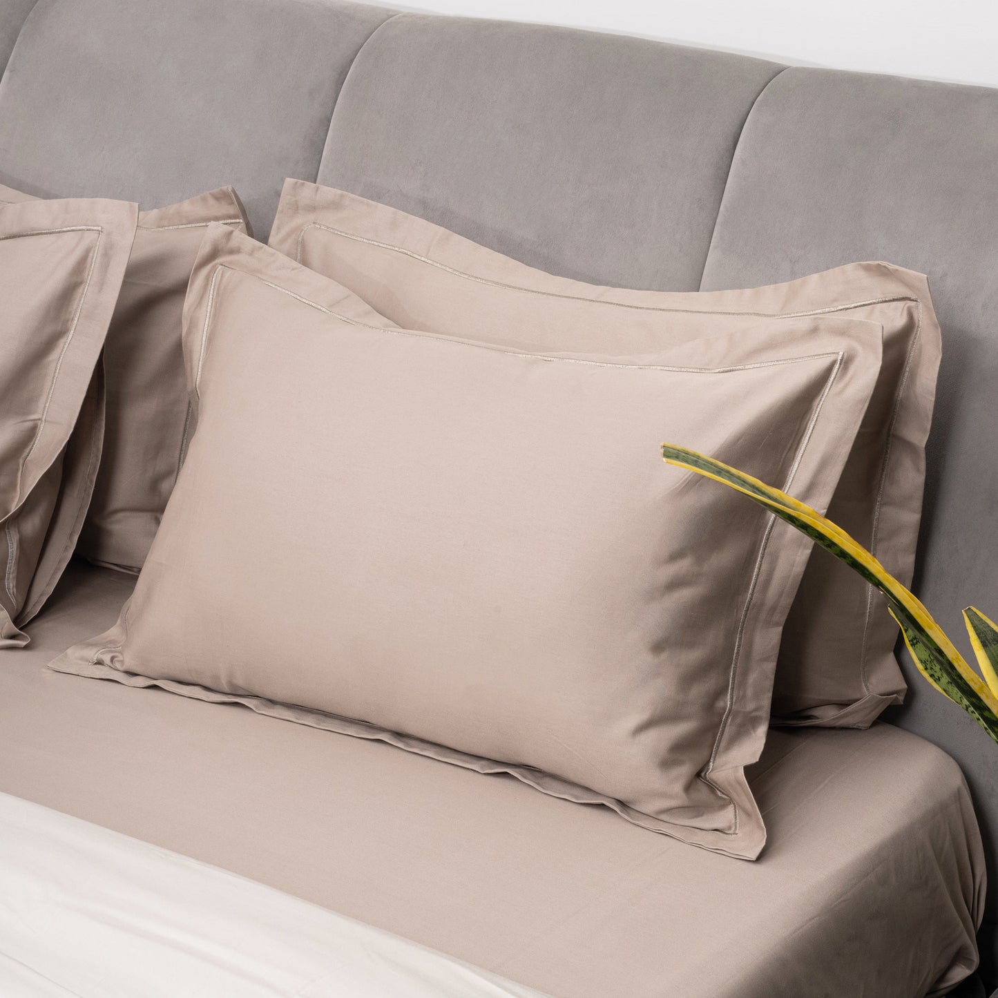 Taupe Bedsheet