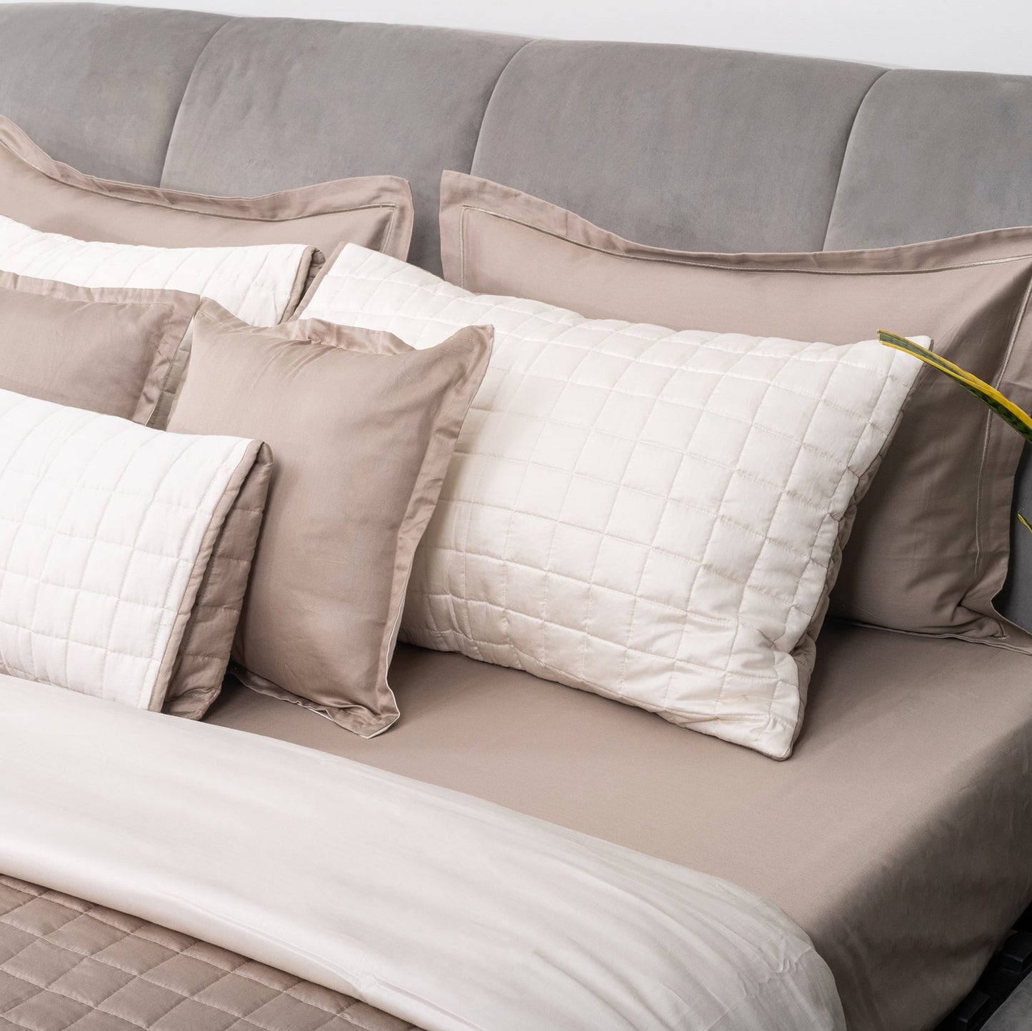 Taupe & Ivory Bedspread Set