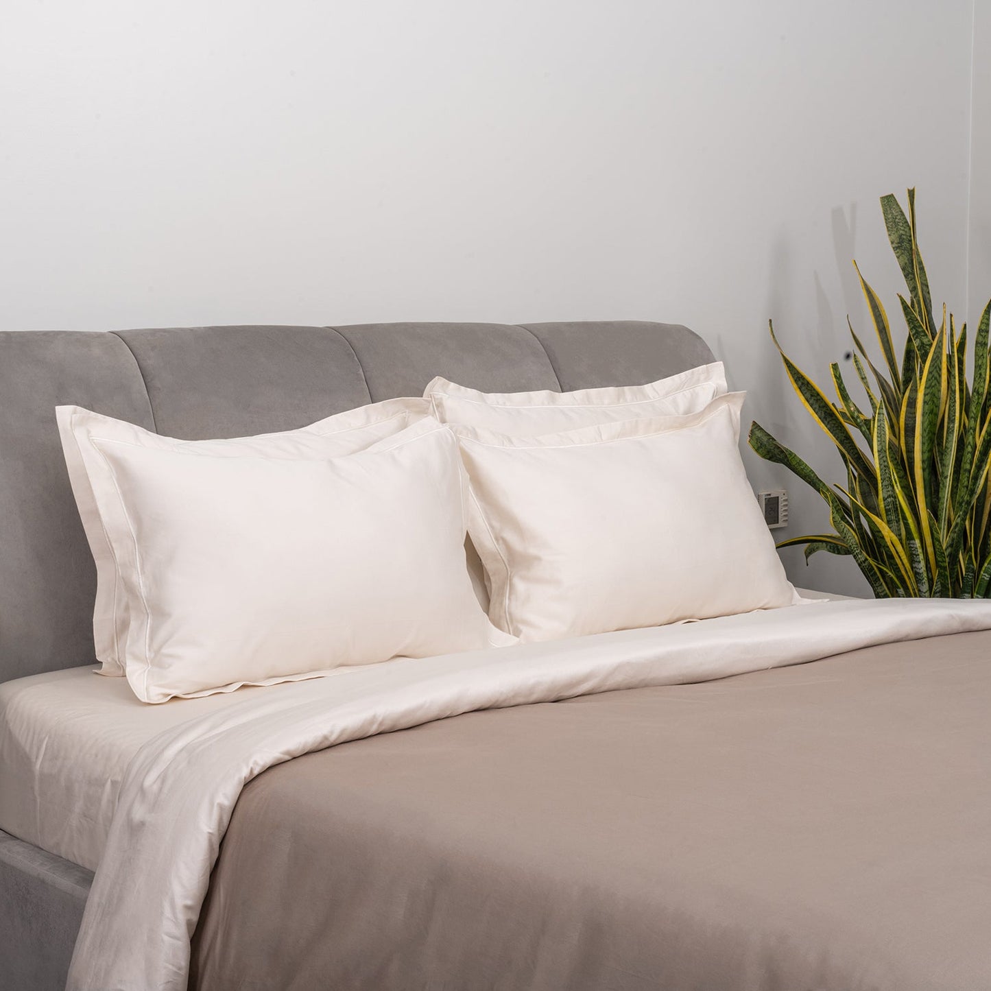 Irish Coffee and Brilliant White Duvet Covers