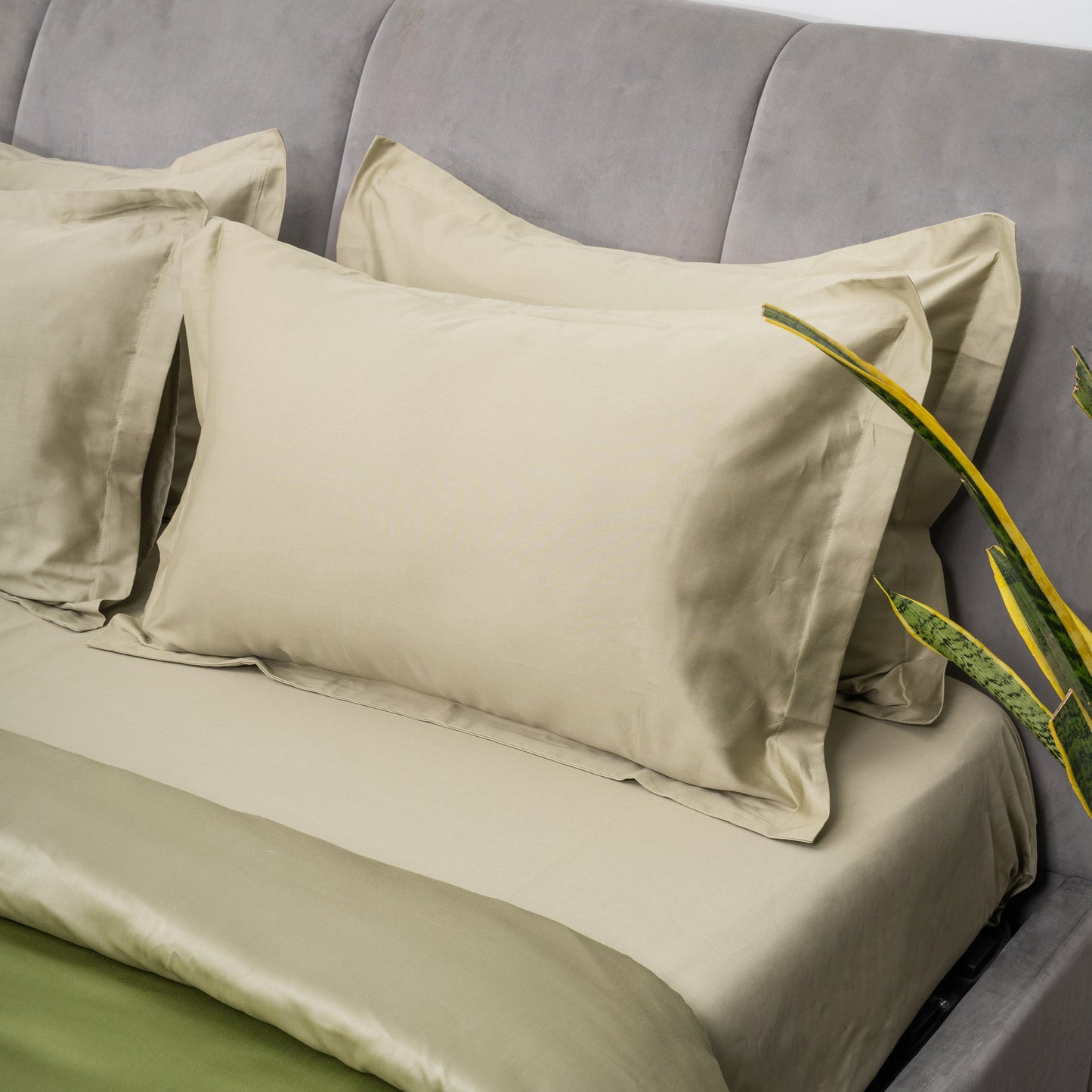 Forest Sage Bedsheet