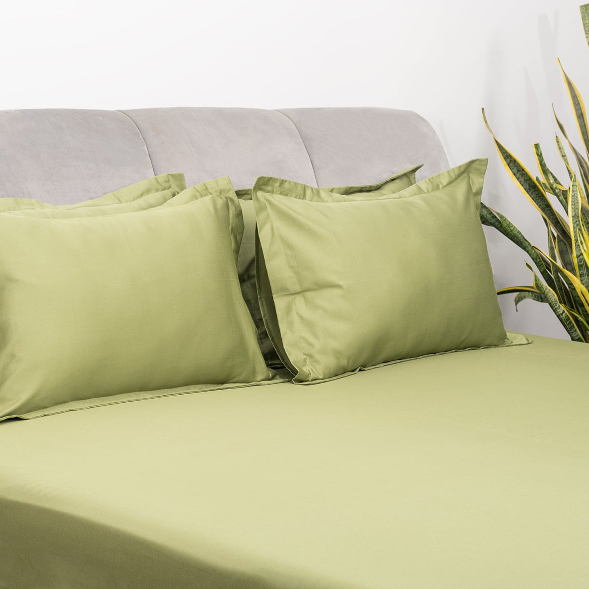 Shimmering Olive Bedsheet