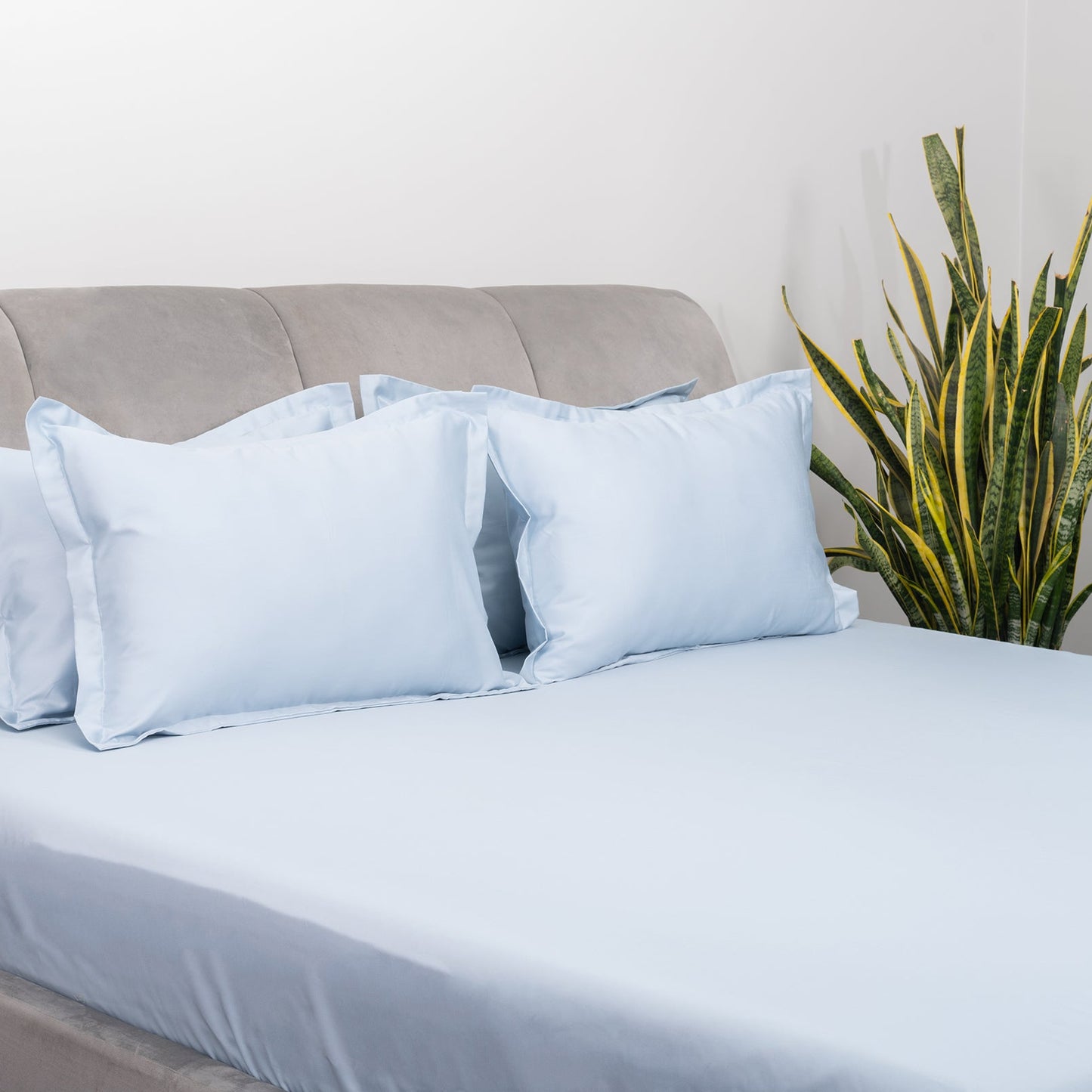 Blue Salt Bedsheet