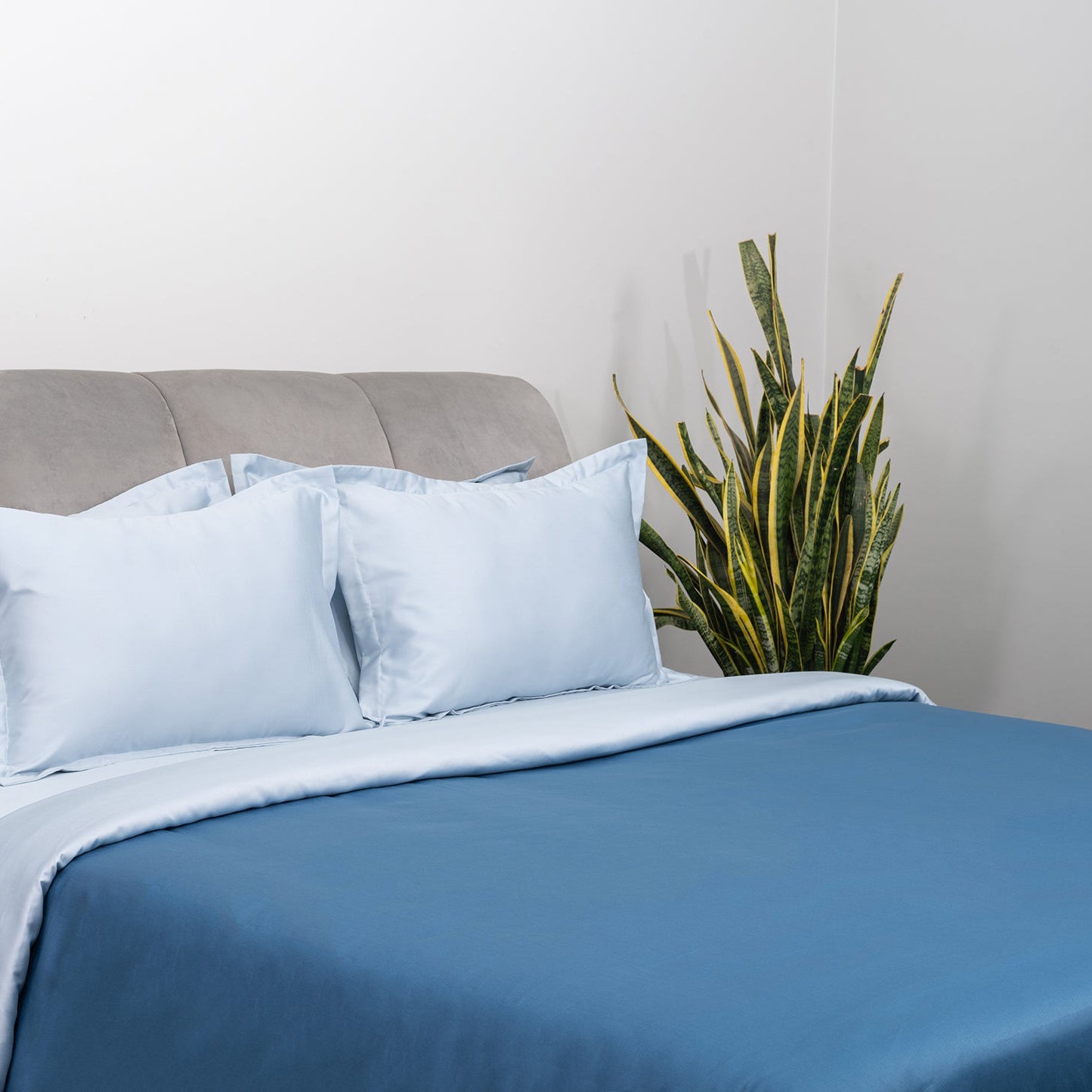Blue Salt and Regal Whale Duvet Covers