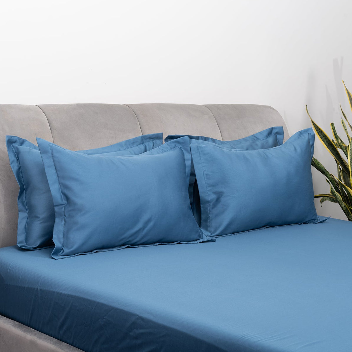 Regal Whale Bedsheet