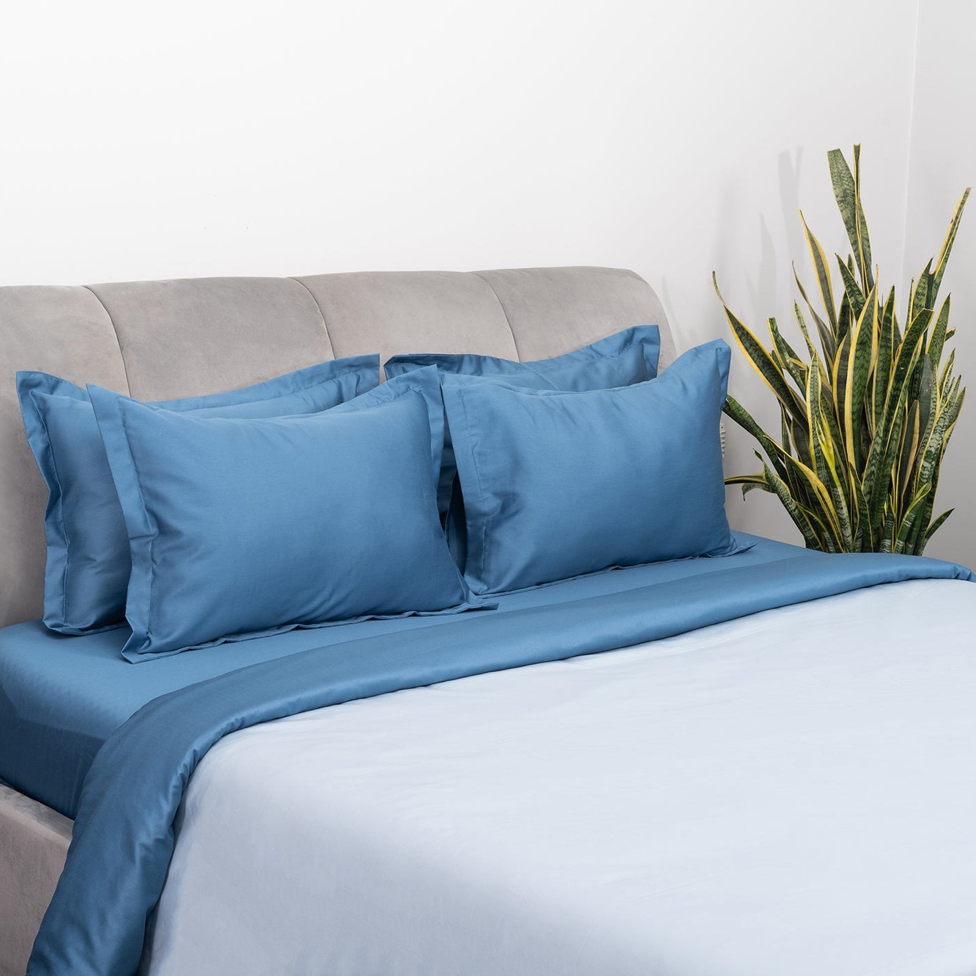 Blue Salt and Regal Whale Duvet Covers